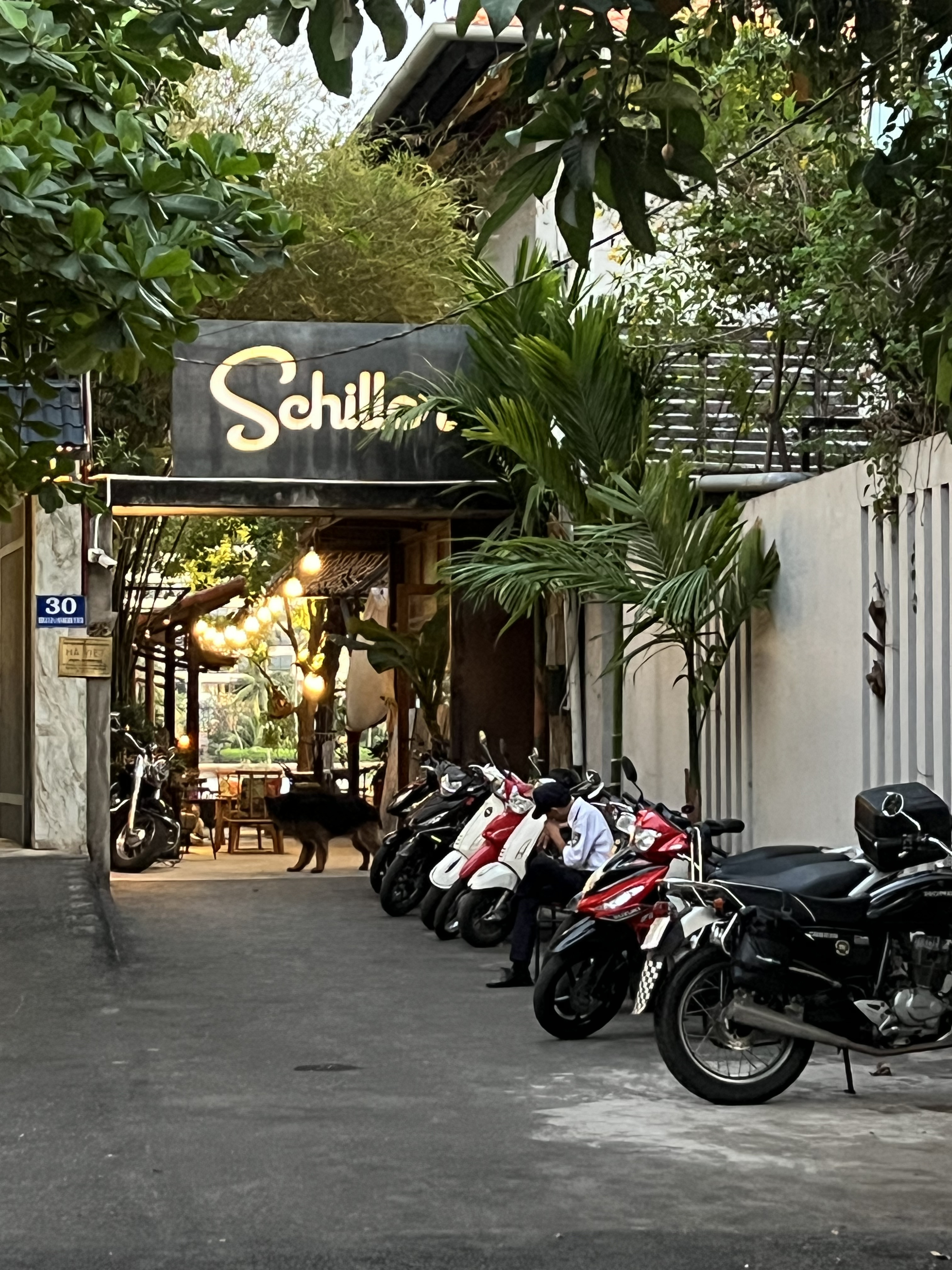 Schiller - River Club