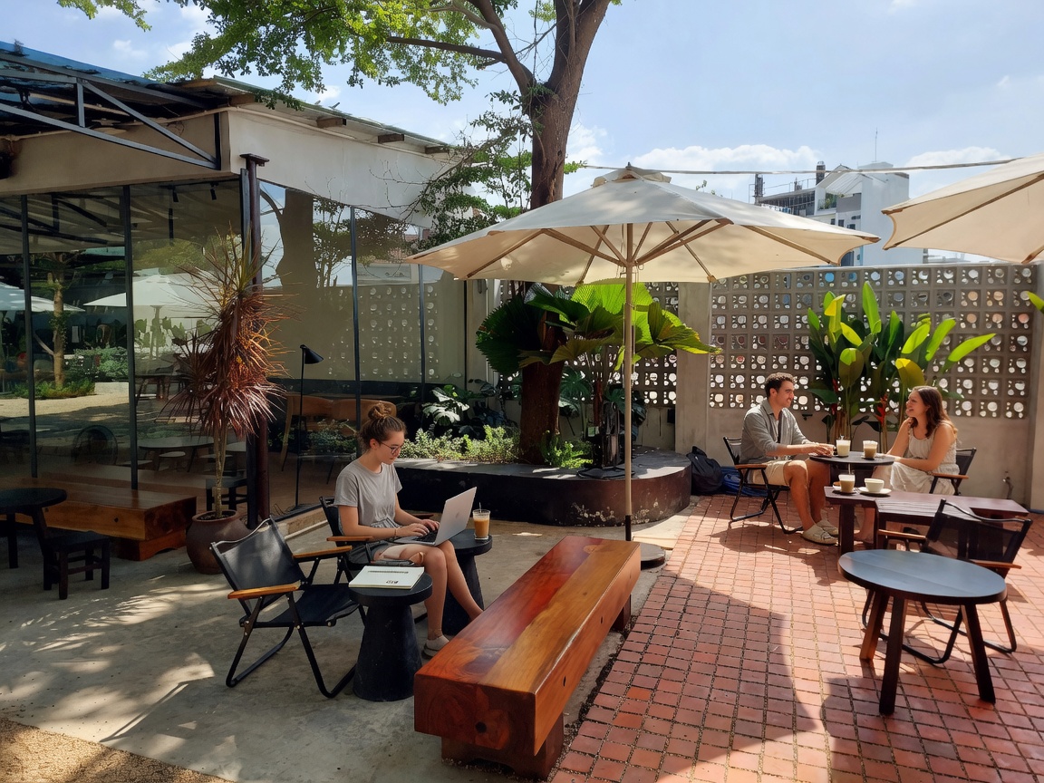 Ollin Café