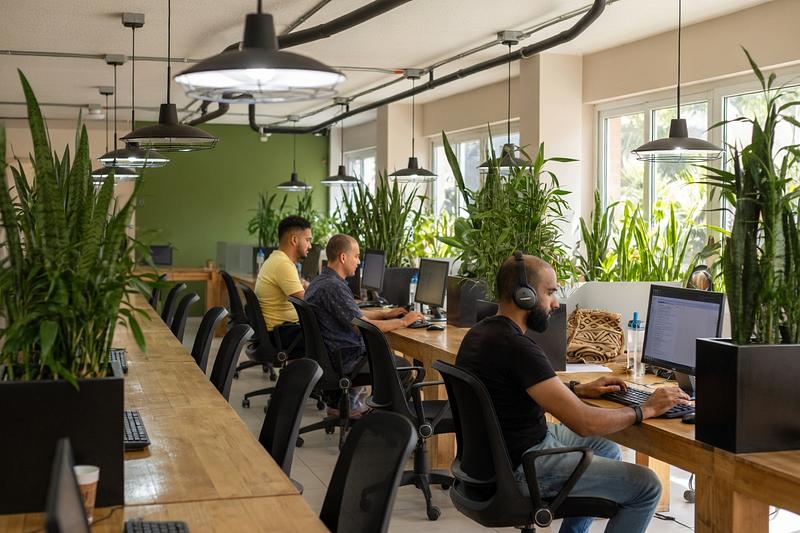 Semilla Coworking Café